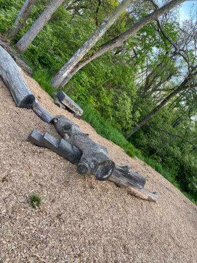 Forest Field Park - Washington Township, OH