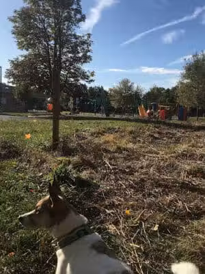 Iron Horse Park - Washington Township, OH