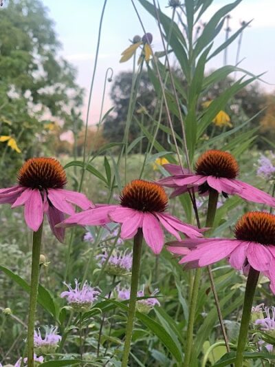 Iron Horse Park - Washington Township, OH