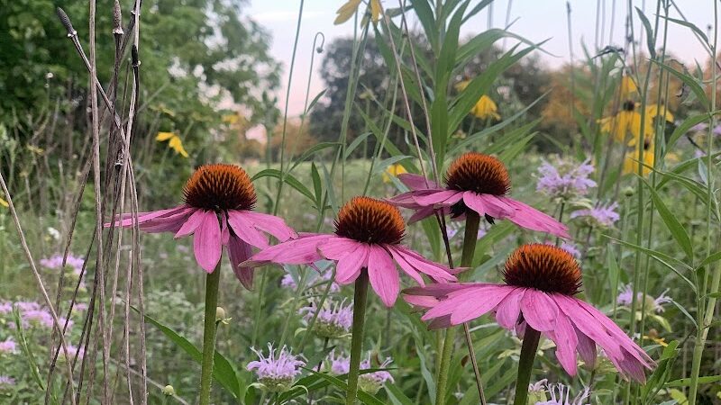 Iron Horse Park - Washington Township, OH