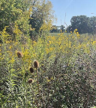 Iron Horse Park - Washington Township, OH
