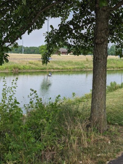 Oak Grove Park - Washington Township, OH