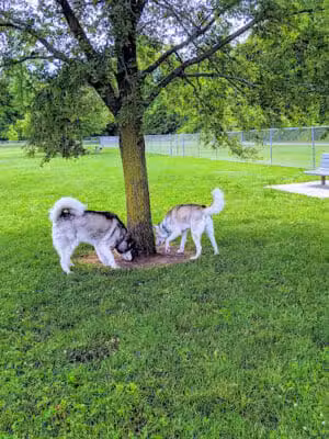 Oak Grove Park - Washington Township, OH