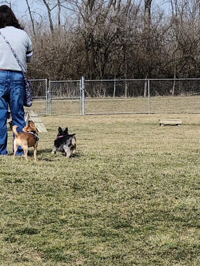 Oak Grove Park - Washington Township, OH