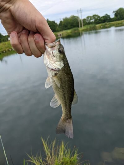 Oak Grove Park - Washington Township, OH