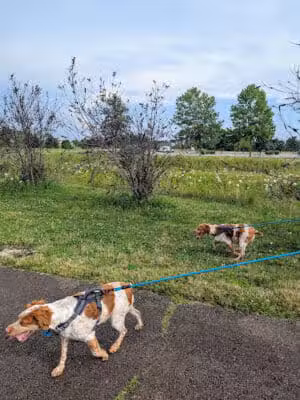 Robert F. Mays Park - Washington Township, OH