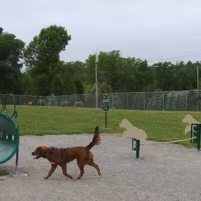 Scentral Dog Park - Waterford, NY