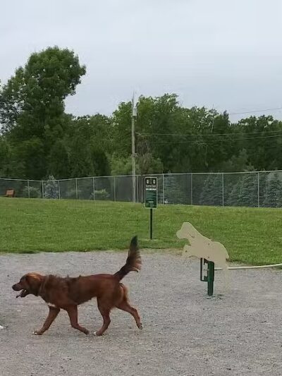 Scentral Dog Park - Waterford, NY