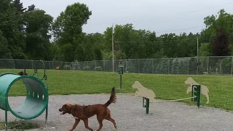 Scentral Dog Park - Waterford, NY
