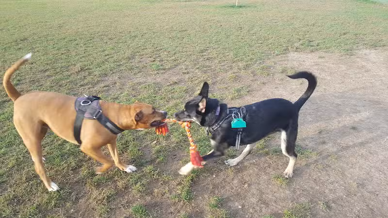 Scentral Dog Park - Waterford, NY