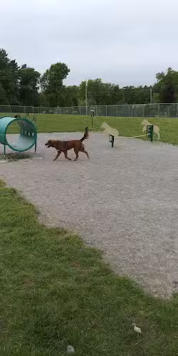 Scentral Dog Park - Waterford, NY