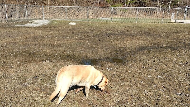 Waterville Dog Park - Waterville, ME