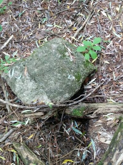 Waterville Dog Park - Waterville, ME