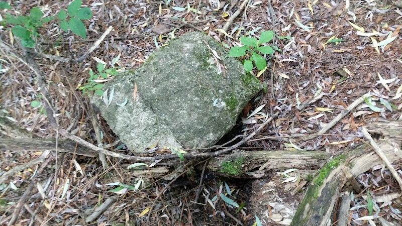 Waterville Dog Park - Waterville, ME