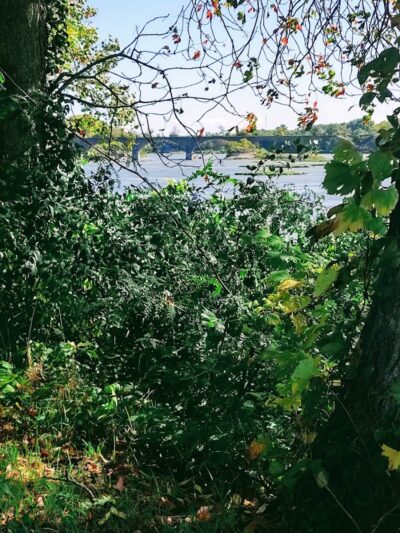 Farnsworth - Waterville, OH