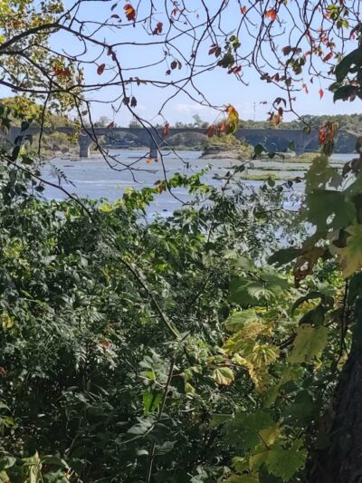 Farnsworth - Waterville, OH