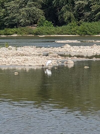Memorial Park - Waterville, OH
