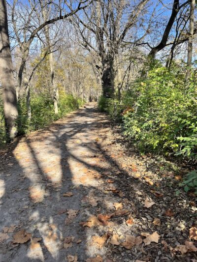 Roche De Bout Area Farnsworth Metropark - Waterville, OH