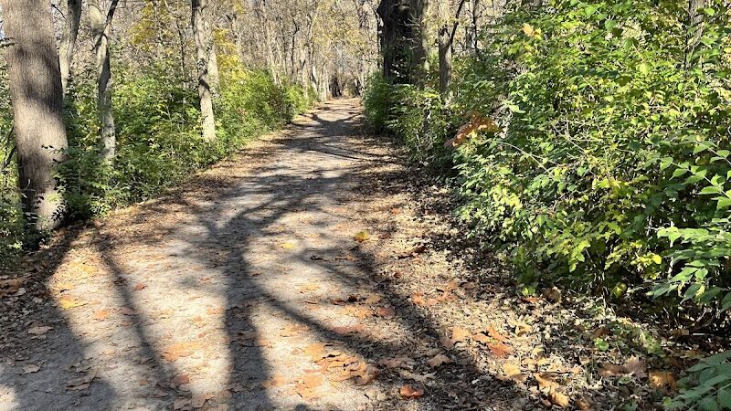 Roche De Bout Area Farnsworth Metropark - Waterville, OH