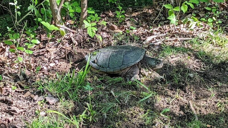 Roche De Bout Area Farnsworth Metropark - Waterville, OH