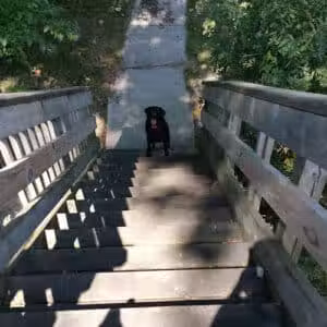 Waterworks Park - Waterville, OH