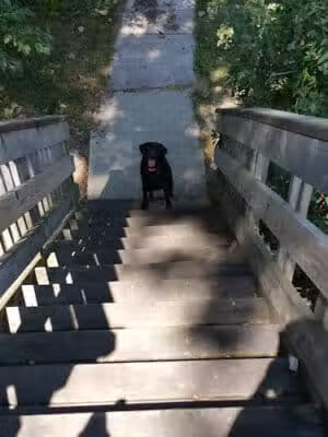 Waterworks Park - Waterville, OH