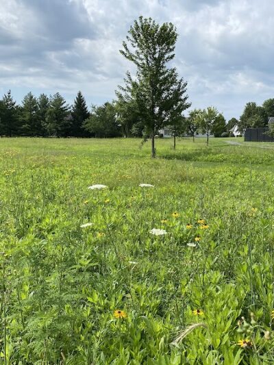 Homecoming Park - Wauseon, OH