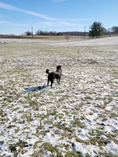Waverly Dog Park - Waverly, IA