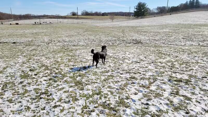 Waverly Dog Park - Waverly, IA