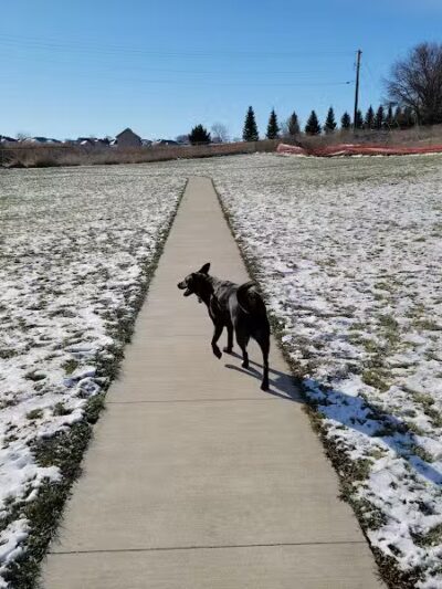 Waverly Dog Park - Waverly, IA