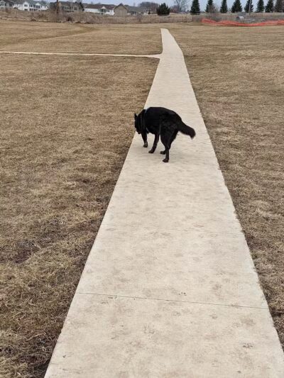 Waverly Dog Park - Waverly, IA