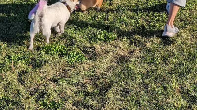 Waverly Dog Park - Waverly, IA