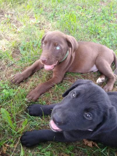 Canal PARK - Waverly, OH