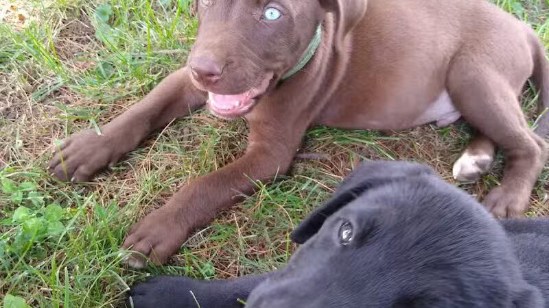 Canal PARK - Waverly, OH