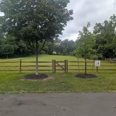 Friends of Radnor Trail Park - Wayne, PA