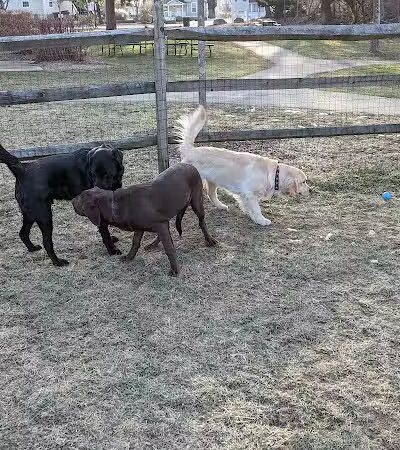 Friends of Radnor Trail Park - Wayne, PA