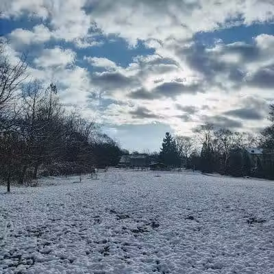 Friends of Radnor Trail Park - Wayne, PA