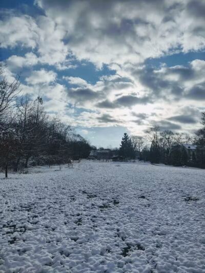 Friends of Radnor Trail Park - Wayne, PA