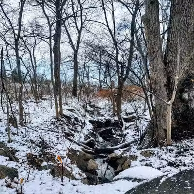 Friends of Radnor Trail Park - Wayne, PA