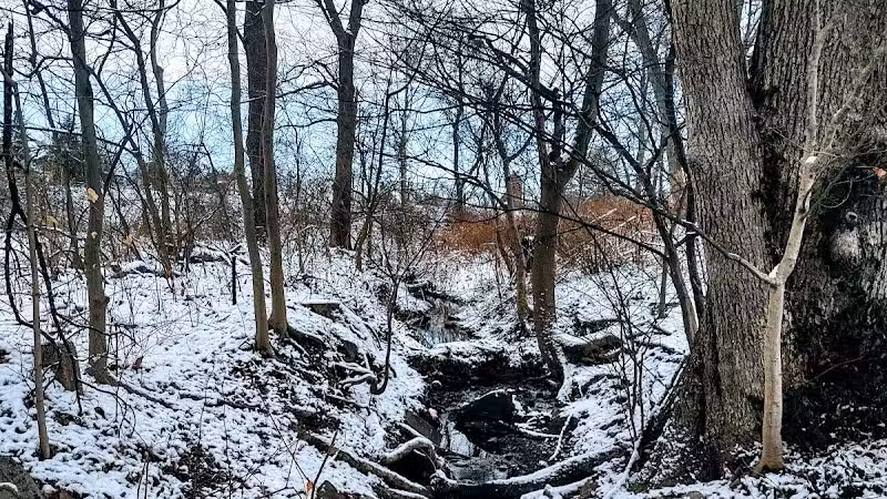 Friends of Radnor Trail Park - Wayne, PA