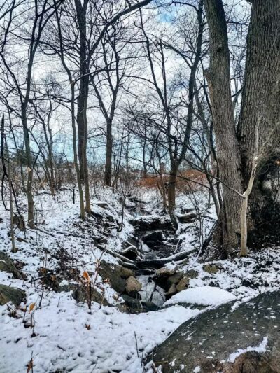 Friends of Radnor Trail Park - Wayne, PA