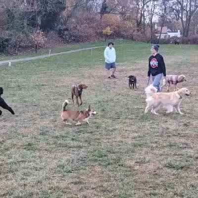 Friends of Radnor Trail Park - Wayne, PA