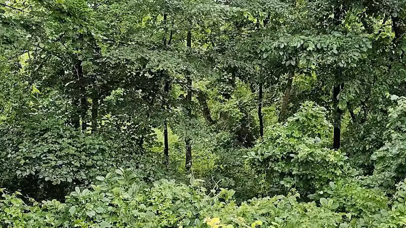 Friends of Radnor Trail Park - Wayne, PA