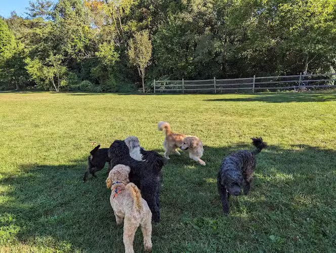 Friends of Radnor Trail Park - Wayne, PA