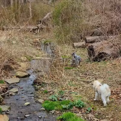 Harford Park - Wayne, PA