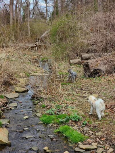 Harford Park - Wayne, PA