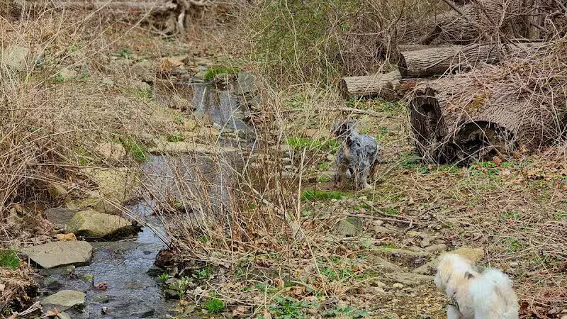 Harford Park - Wayne, PA