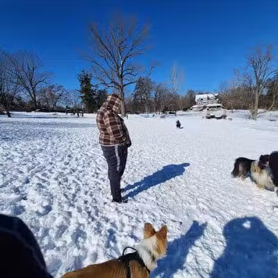 Harford Park - Wayne, PA