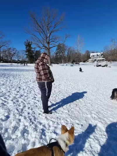 Harford Park - Wayne, PA