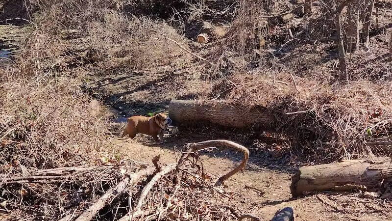 Harford Park - Wayne, PA